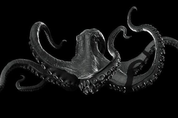 Kraken tor