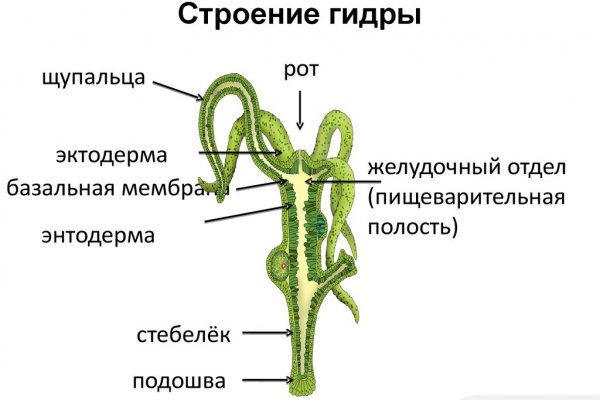 Как открыть ссылку с кракена