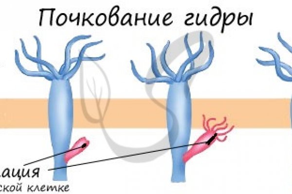 Ссылка кракен kr2web in